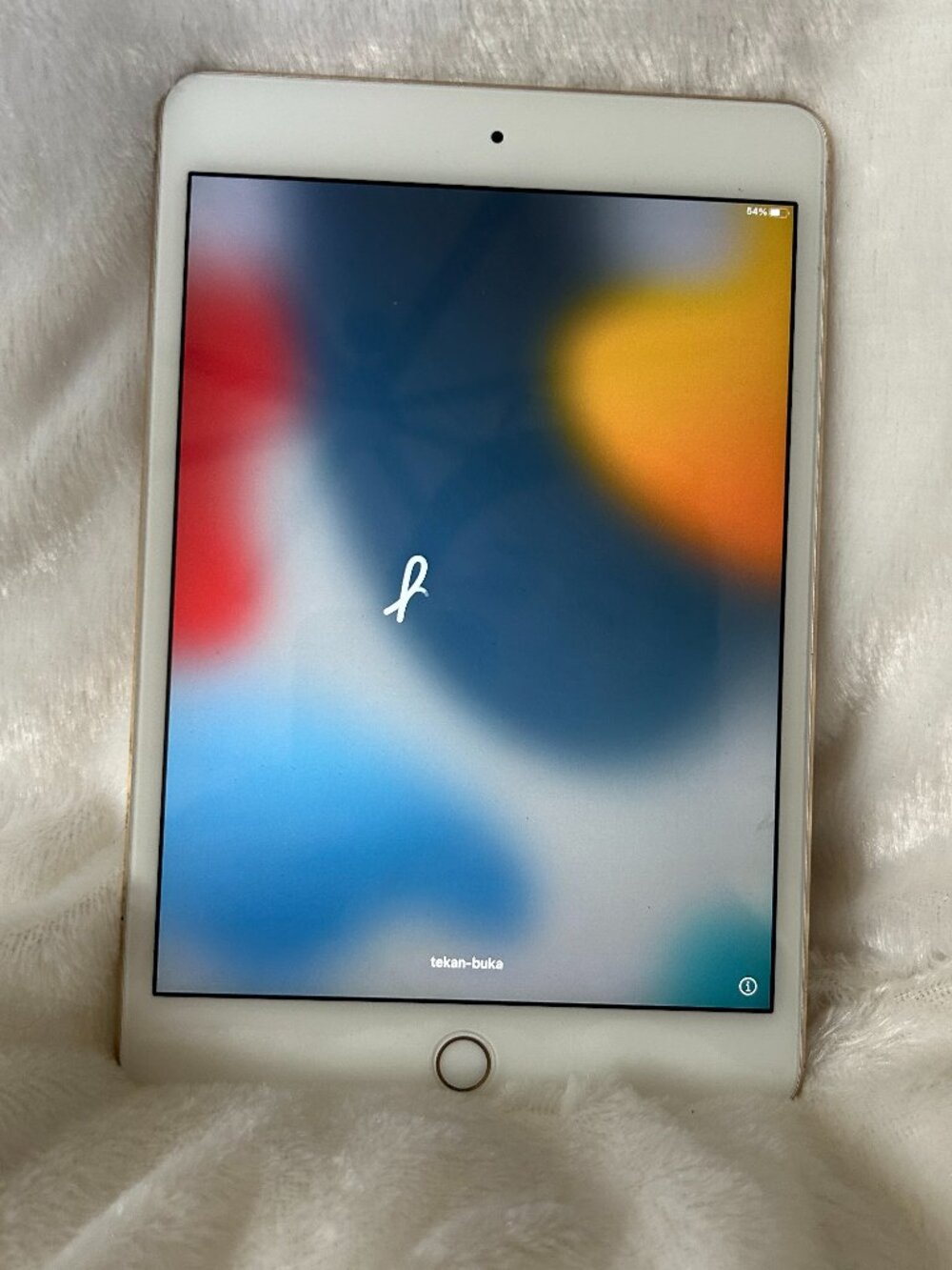 iPad Mini 4 Gold 128G WiFi Only Pre-Owned Working Condition